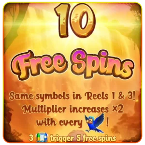 Free Spins